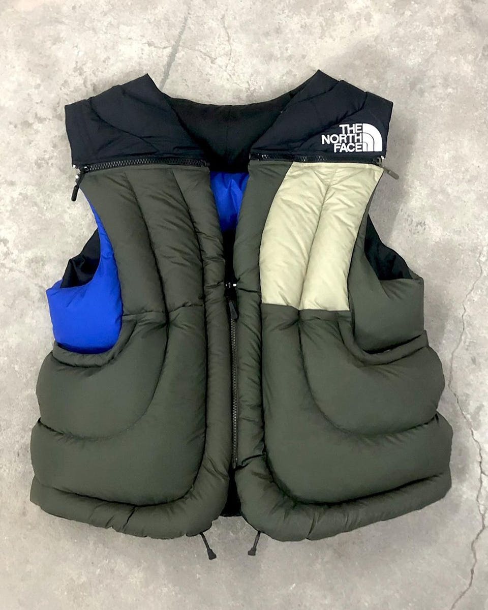 the north face vest
